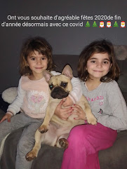 On vous souhaite d'agréable fêtes 2020 de fin d'année désormais avec ce covid :)