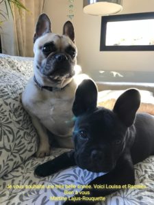 Je vous souhaite une trés belle année. Voici Louisa et Ramses. Bien à vous. Martine Lajus- Rouquette