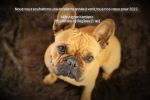 Nous vous souhaitons une excellente année à venir , tous nos voeux pour 2022. Mme Aigner karolane (propriétaire de Réglisse 1 an
